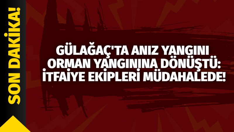 Aksaray’da anız yangını Ormanlık