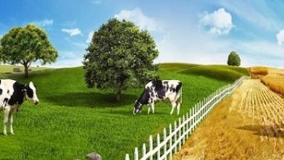 Türkiye İstatistik Kurumu Aksaray ve çevresindeki illerdeki tarım ve hayvancılık