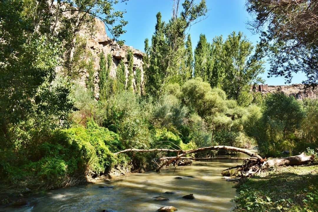 Ihlara Vadisi’nde kaç çeşit canlı bulunuyor?