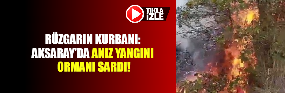 Aksaray'ın Gülağaç ilçesinde çıkan