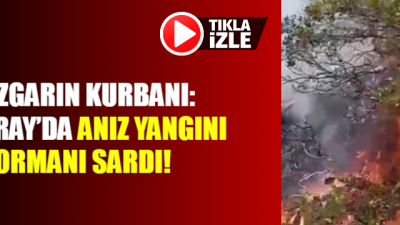 Aksaray'ın Gülağaç ilçesinde çıkan anız yangını, rüzgarın etkisiyle ormanlık alana