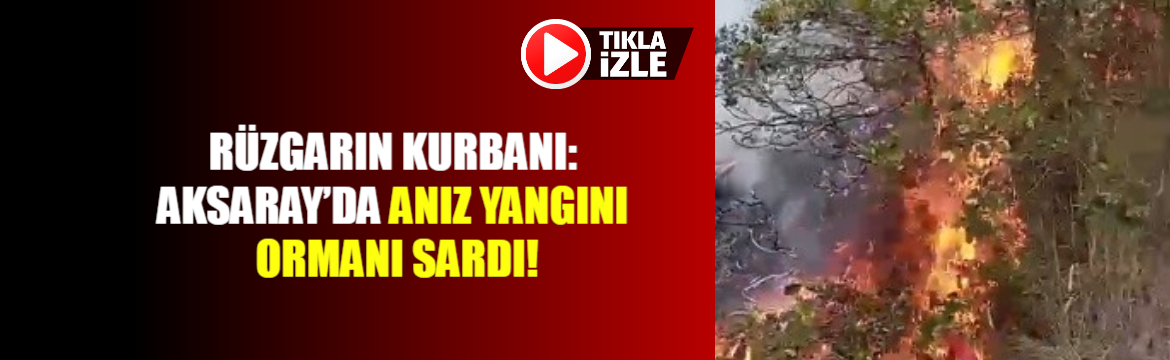 Rüzgarın Kurbanı: Aksaray’da Anız Yangını Ormanı Sardı!