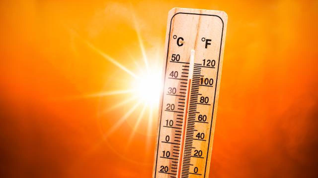 Sıcaklığın en yüksek olduğu Haziran ayı 2024 yılında yaşandı