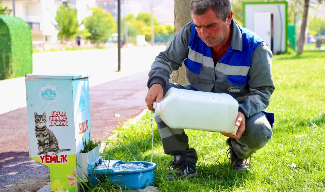 Aksaray Belediyesi, sıcak yaz