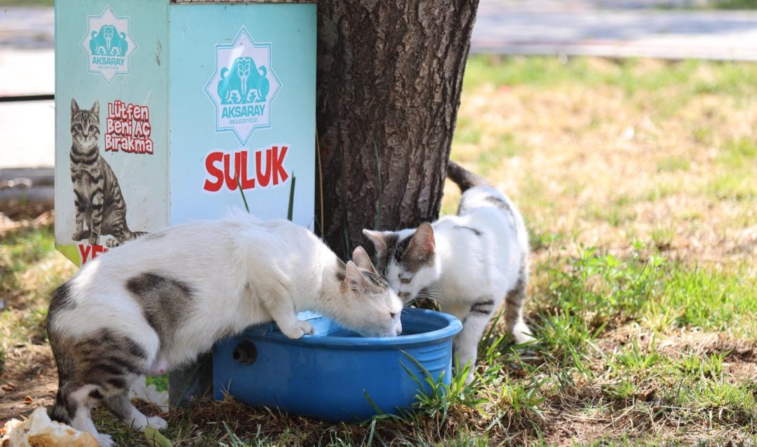 Aksaray Belediyesi tarafından şehir