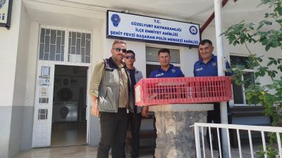 Güzelyurt’ta Kınalı Keklik Operasyonu: Üç Kişiye Yasal İşlem