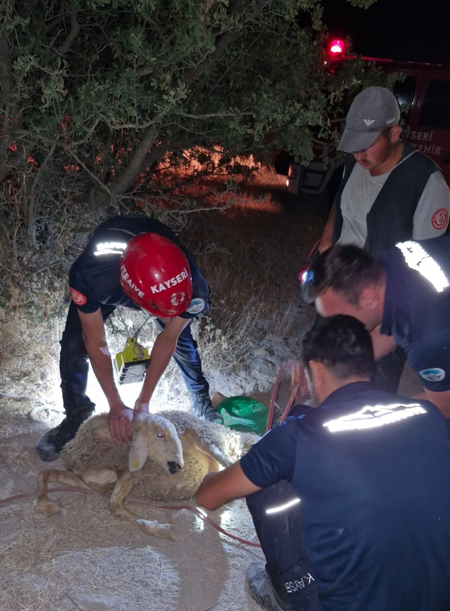 İtfaiye ekipleri kuyuya düşen koyunu kurtardı