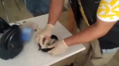 Kayseri’de düzenlenen uyuşturucu operasyonunda 9 şüpheli gözaltına alındı. İl Emniyet