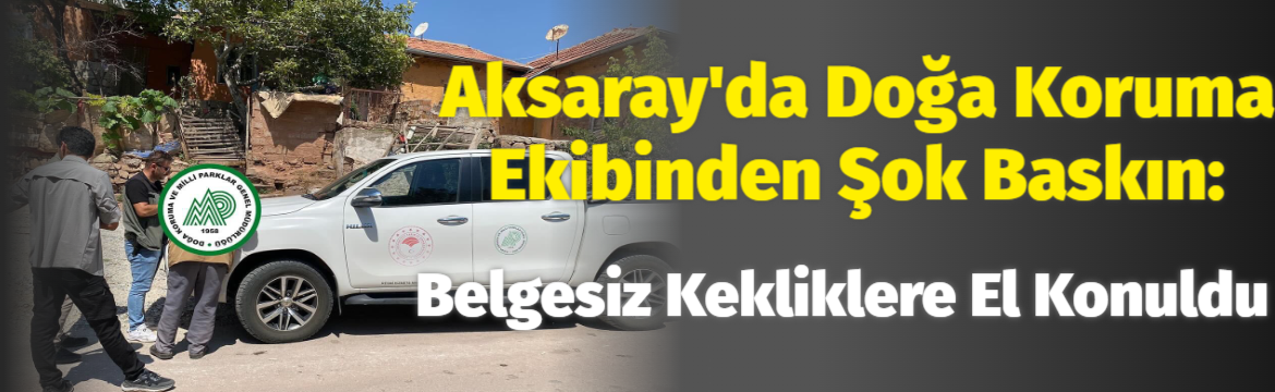 Aksaray’da Doğa Koruma Ekibinden Şok Baskın: Belgesiz Kekliklere El Konuldu