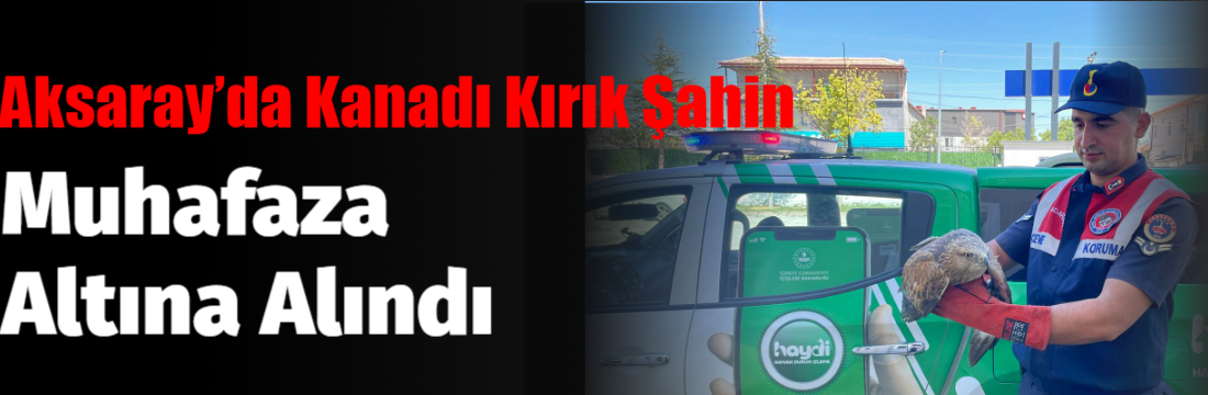 Aksaray’da HAYDİ ekipleri kanadı