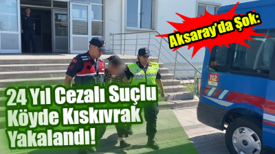 Aksaray Jandarma Komutanlığı ve Ortaköy İlçe Komutanlığının işbirliğiyle 20 ayrı,