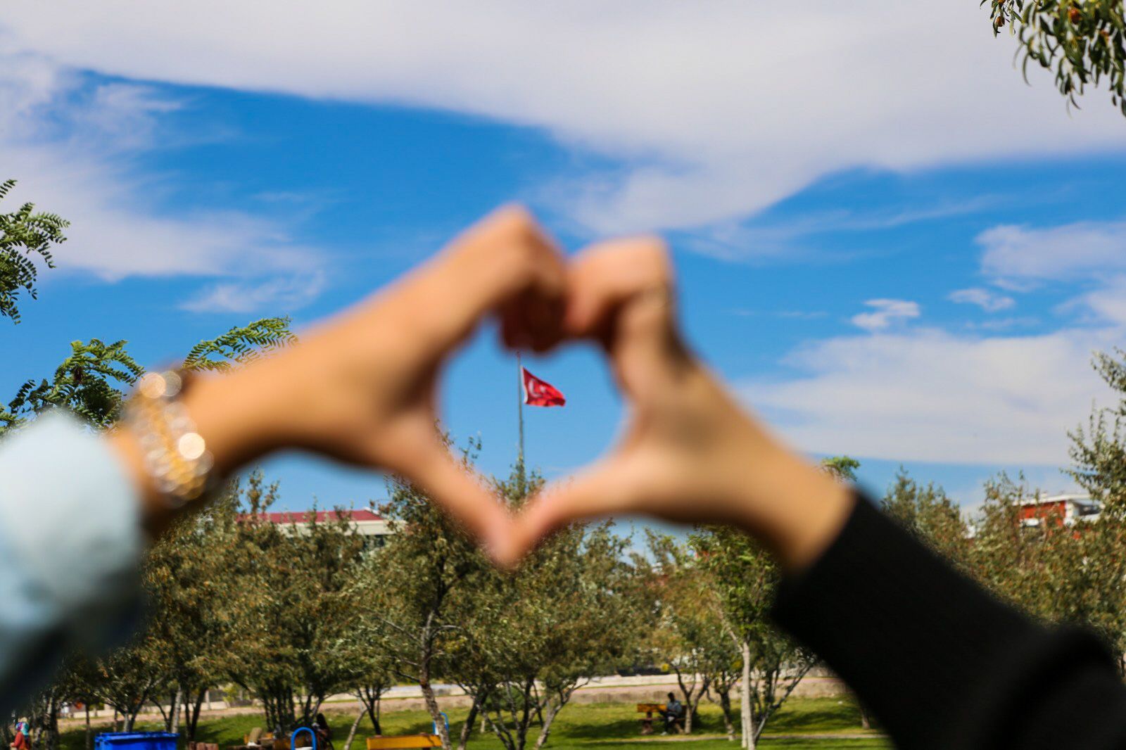 ASÜ’de kayıt süreci başladı; İşte tüm merak edilenler