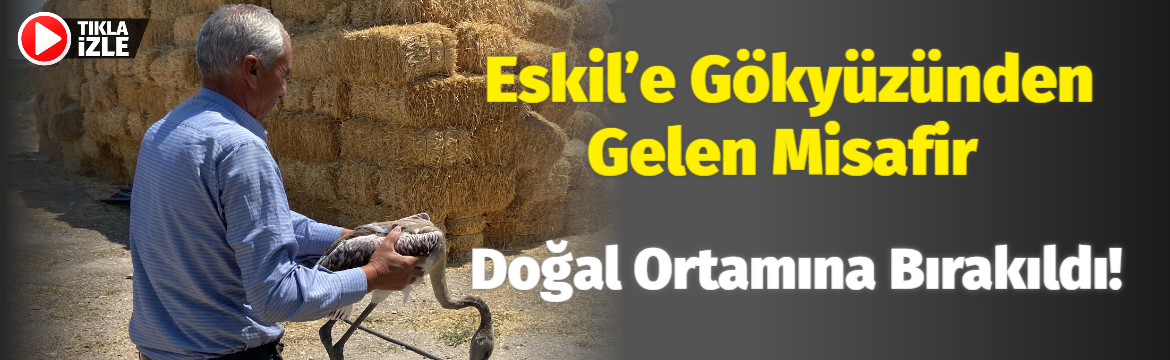 Eskil’e gökyüzünden gelen misafir doğal ortamına bırakıldı!