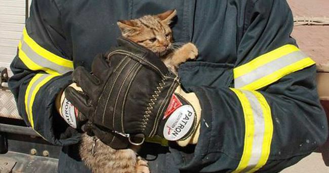 Havalandırma boşluğuna düşen kedi yavrusu kurtarıldı