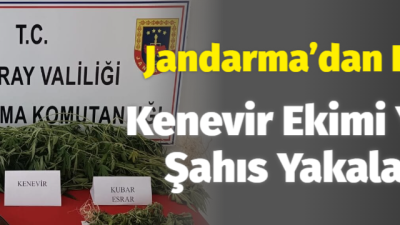 Aksaray’ın Sarıyahşi İlçesinde yasa dışı kenevir ekimi ve uyuşturucu madde