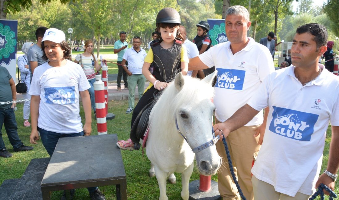 Aksaray Belediyesi, Türkiye Jokey