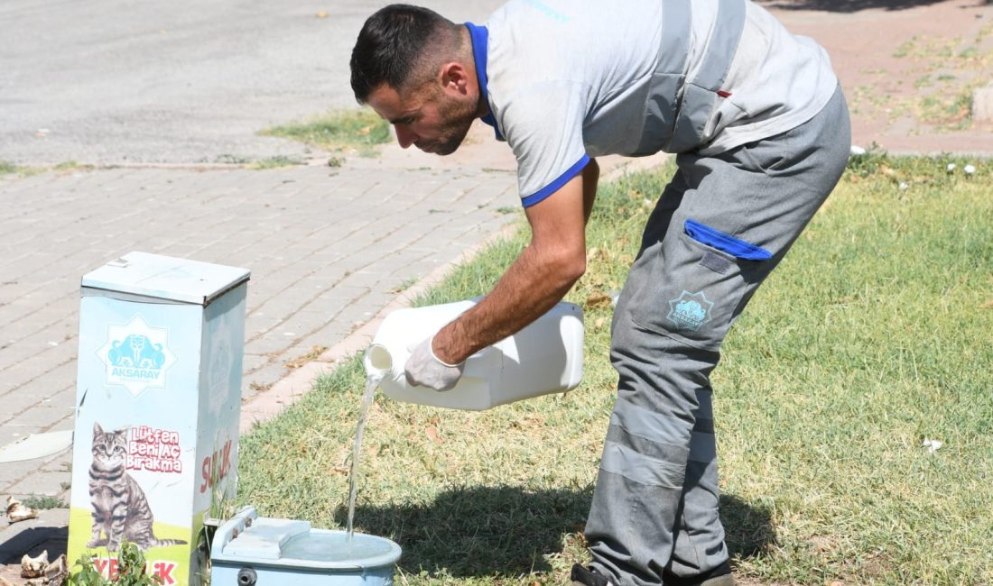 Aksaray Belediyesi tarafından şehir