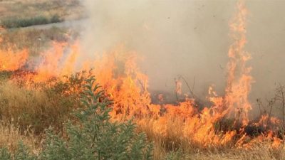 Niğde'de Melendiz Dağı eteklerinde çıkan ot yangını söndürüldü.