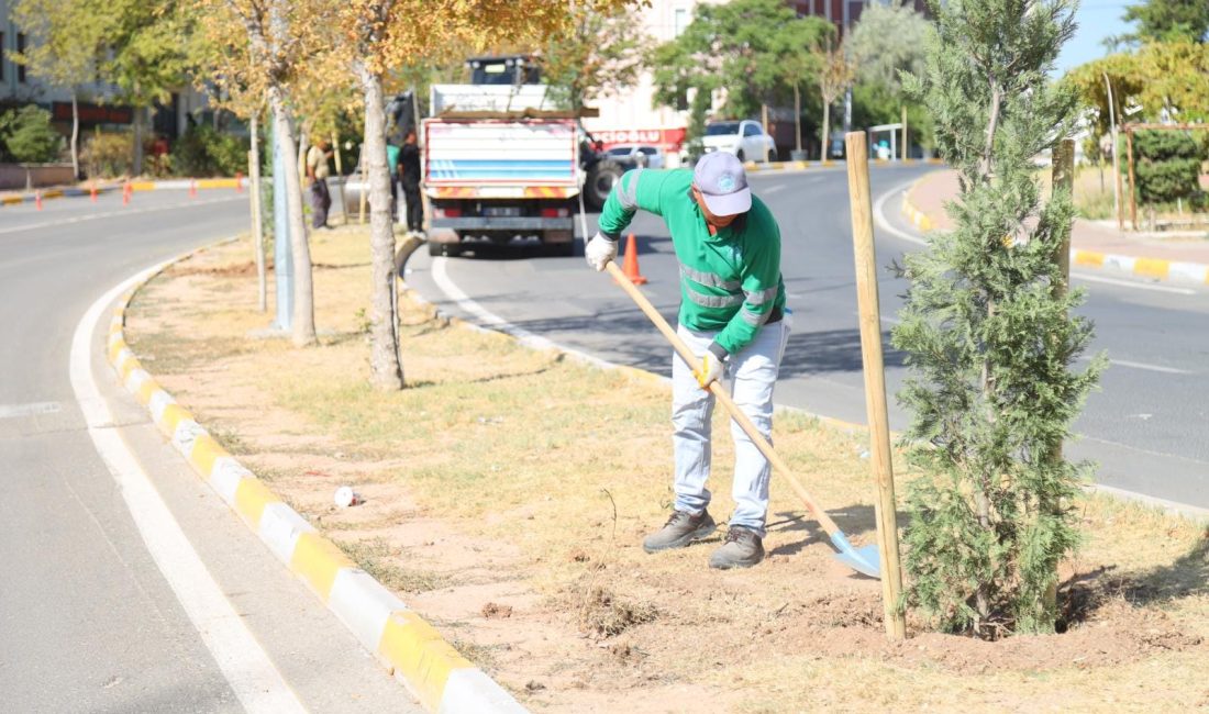 Aksaray Belediyesi şehir içerisindeki