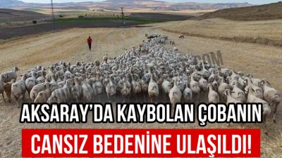 Aksaray’ın Ağaçören ilçesinde, Abalı ve Şabanlı köyleri arasında hayvanlarını otlatmak
