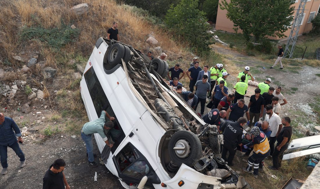 Sivas'ın Koyulhisar ilçesinde fındık