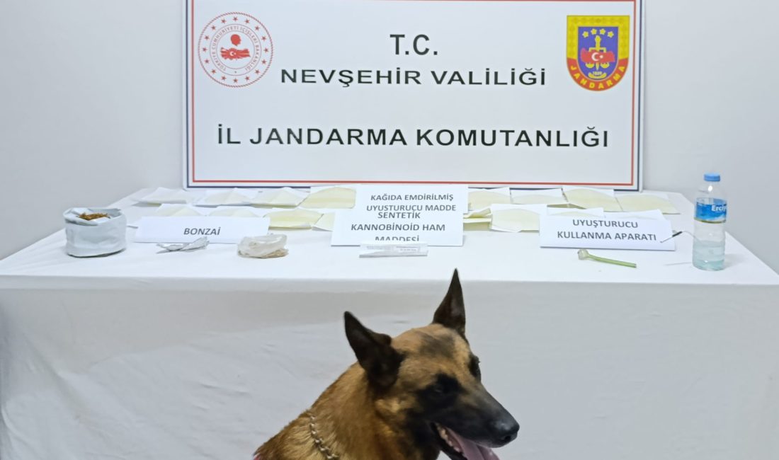 Nevşehir'de uyuşturucu operasyonunda gözaltına