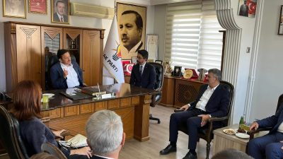 AK Parti Aksaray Milletvekili, Türkiye Büyük Millet Meclisi (TBMM) Plan