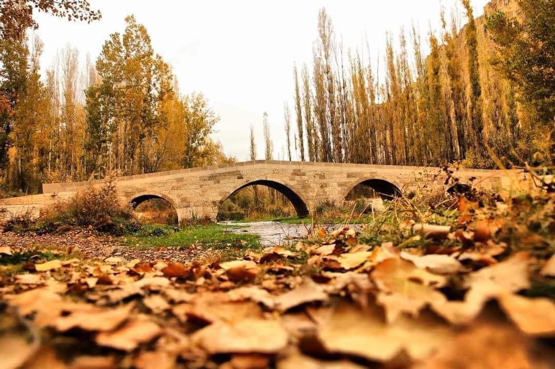 Bu fotoğraflar nerede çekildi? Altın şehir Aksaray sonbaharda büyülüyor!