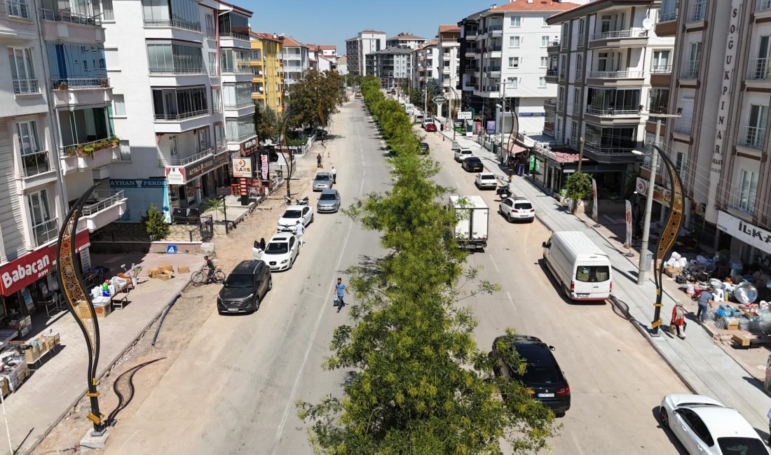 Aksaray Belediyesi, şehir genelindeki