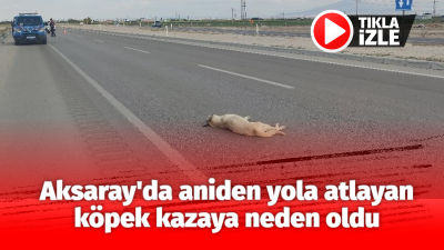 Aksaray-Konya yolunda seyir halindeki bir otomobil, yola atlayan köpeğe çarptı.