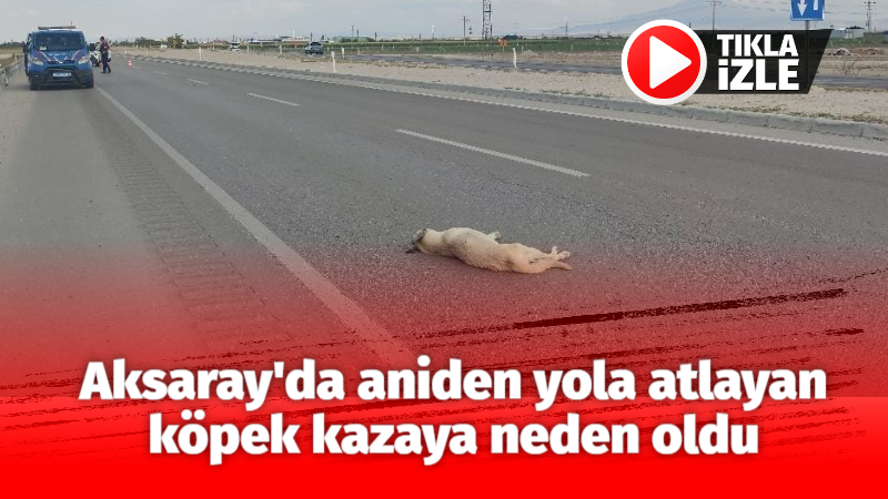 Aksaray’da aniden yola atlayan köpek kazaya neden oldu