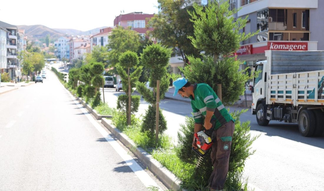 Aksaray Belediyesi, şehirdeki doğal