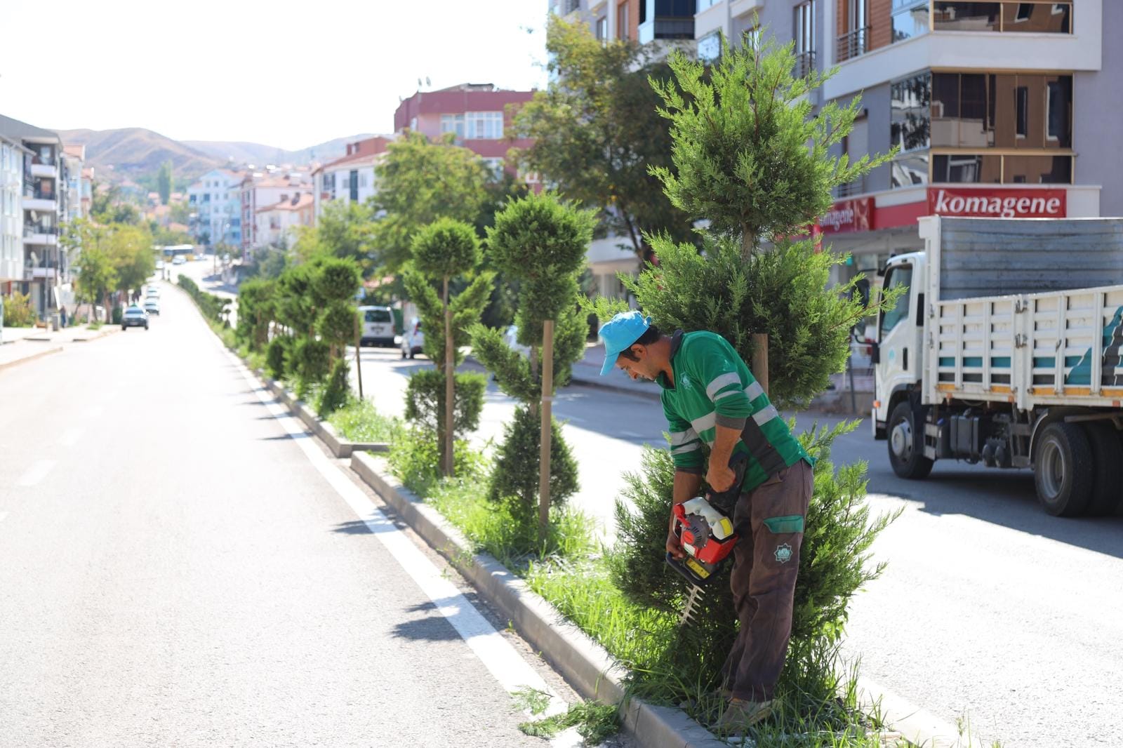 Aksaray Belediyesi’nden doğaya destek: Ağaçlara bakım ve budama yapıldı