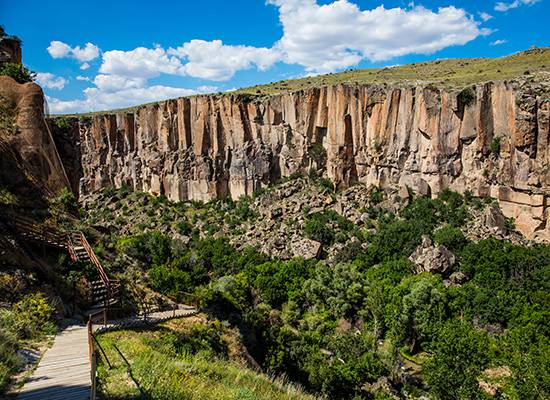 Tripadvisor tarafından yayımlanan verilere