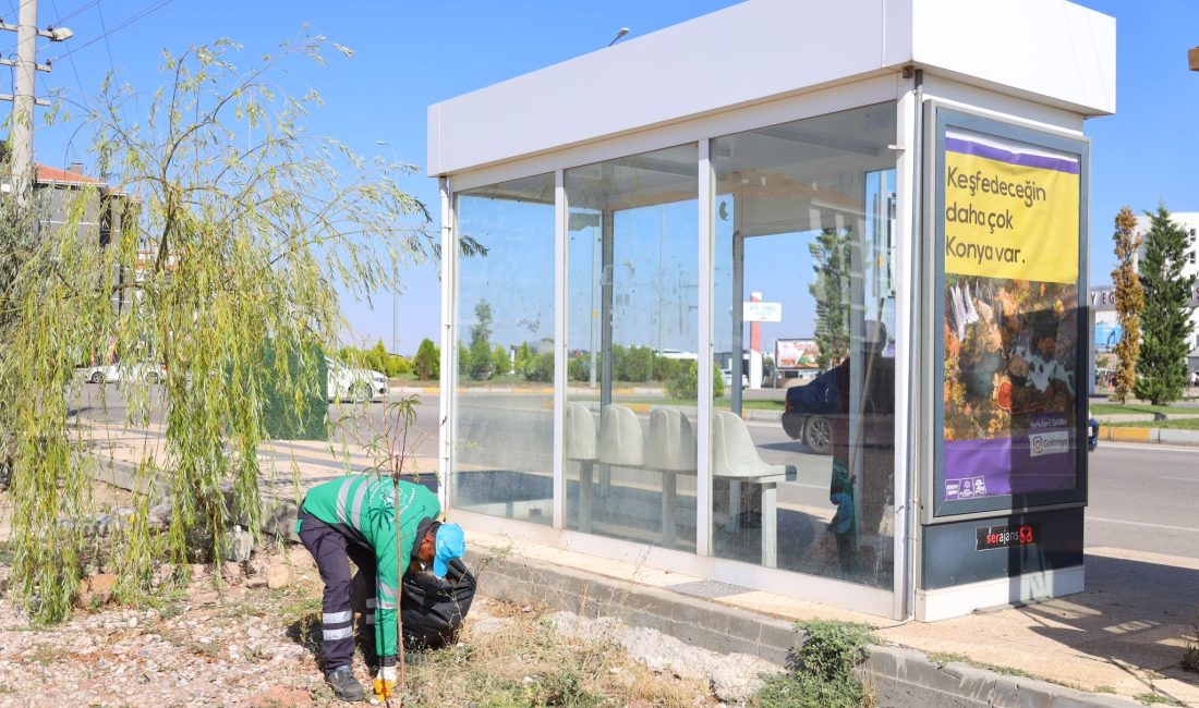 Aksaray Belediyesi tarafından şehir