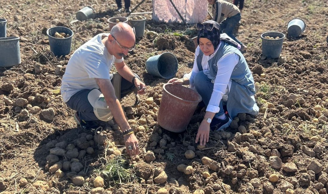 Aksaray İl Tarım ve