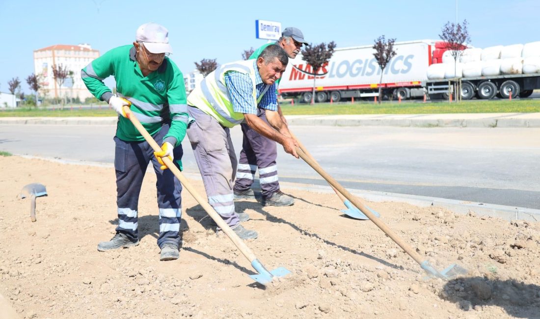 Aksaray Belediyesi ekipleri, şehir