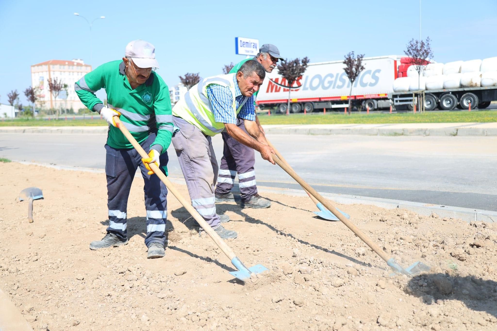 Aksaray Belediyesi, yeşillendirme çalışmalarını sürdürüyor