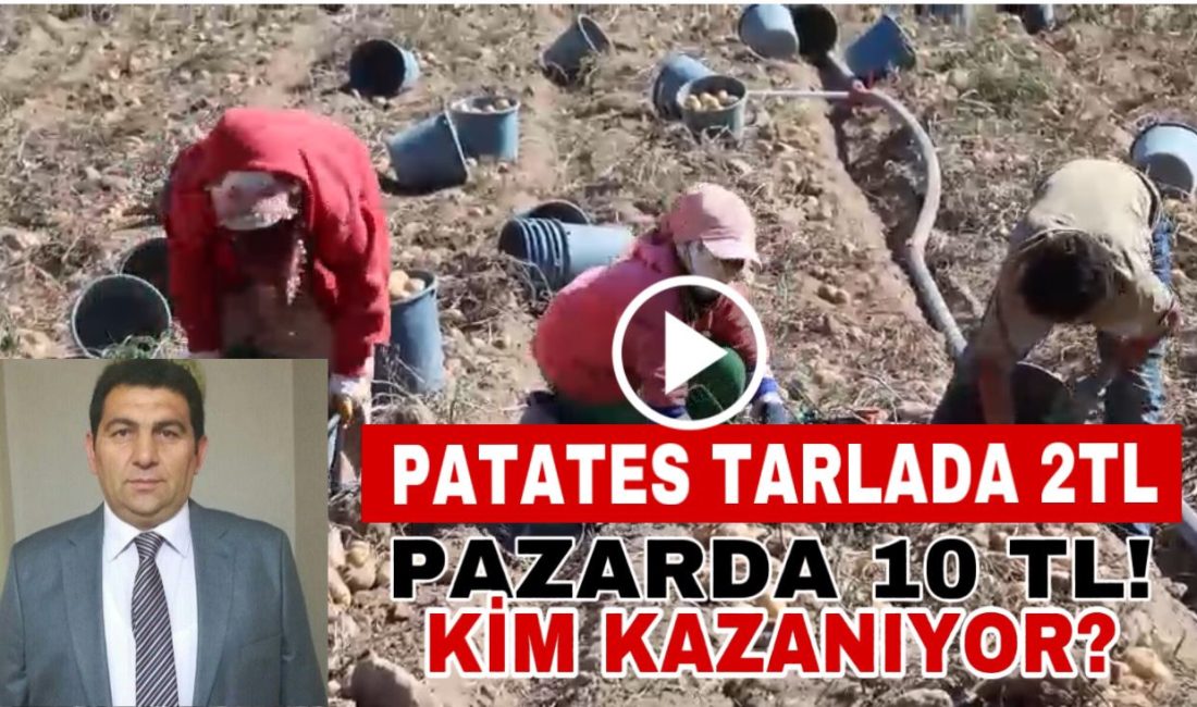 Aksaray’ da Patates Tarlada 2 Lira, Pazarda 10! Kim Kazanıyor?