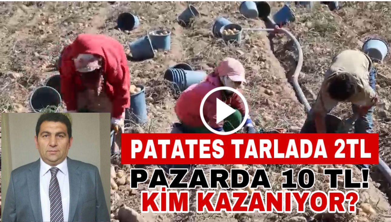 Aksaray’ da Patates Tarlada 2 Lira, Pazarda 10! Kim Kazanıyor?