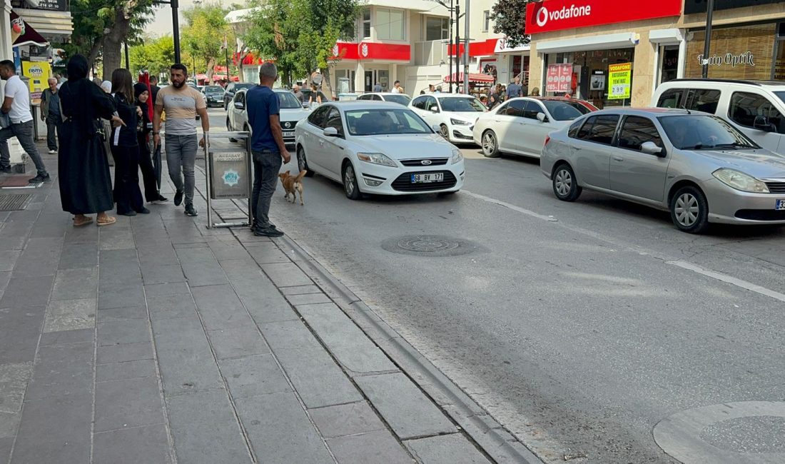 Aksarayda otopark ihalesi! 3 yıllığına kiraya verilecek!