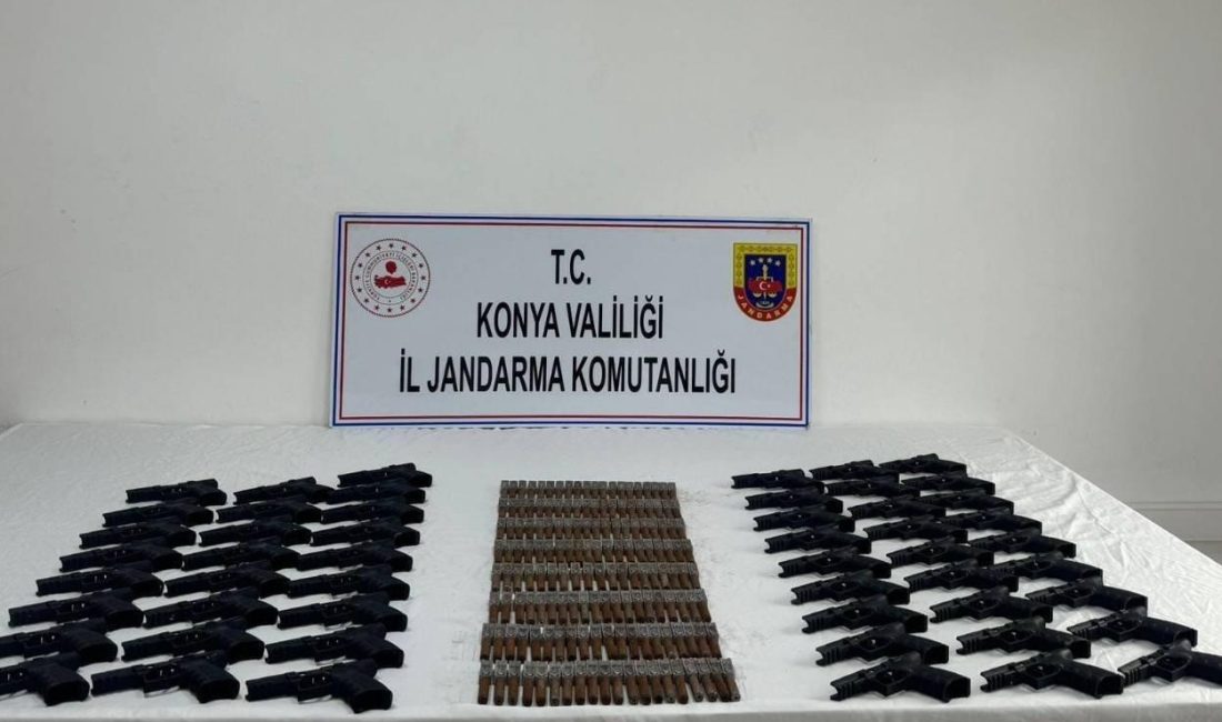 Konya'nın Beyşehir ilçesinde, jandarma