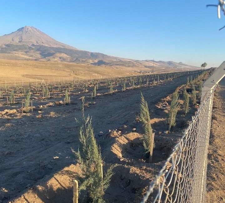 Taşpınar’da Ağaçlandırma Seferberliği: 525