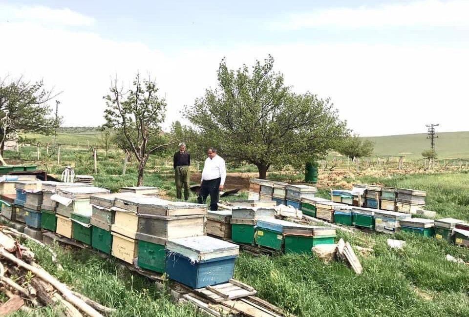 Aksaray Ziraat Odası Başkanı