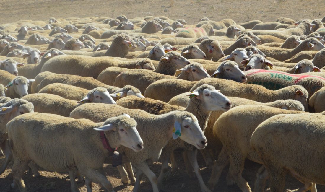 Tarım ve Orman Bakanlığına