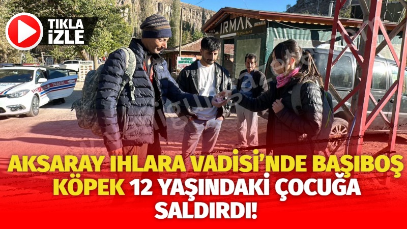 Aksaray Ihlara Vadisi’nde başıboş köpek 12 yaşındaki çocuğa saldırdı!