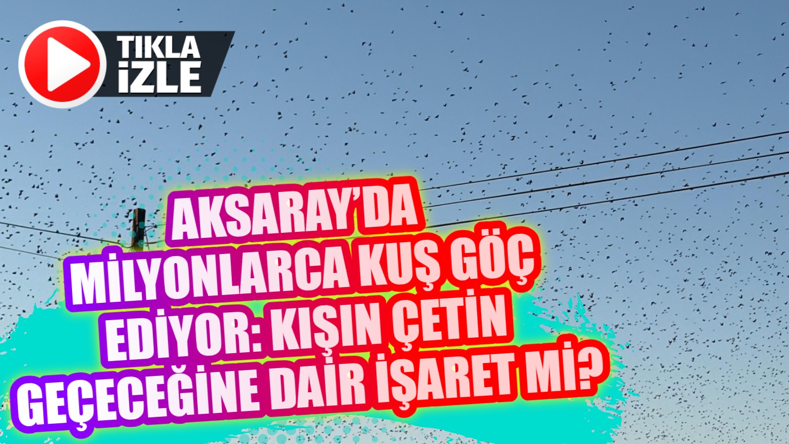 Aksaray’da milyonlarca kuş göç ediyor: Kışın çetin geçeceğine dair işaret mi?