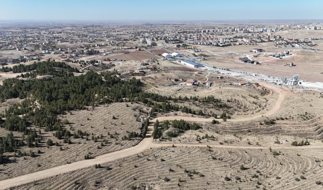 Aksaray Belediyesi, hızla artan