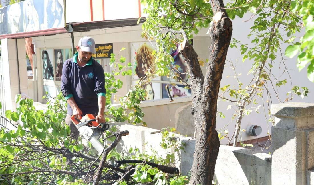 Aksaray Belediyesi tarafından şehir