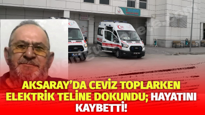 Aksaray merkeze bağlı Akin köyünde Hasan Çalı (69), ceviz toplarken